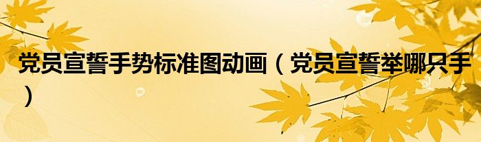 黨員宣誓手勢標(biāo)準(zhǔn)圖動畫（黨員宣誓舉哪只手）