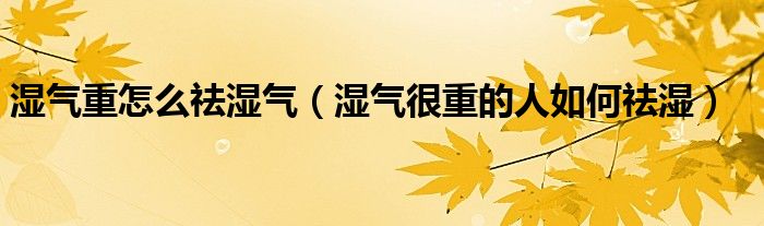 濕氣重怎么祛濕氣（濕氣很重的人如何祛濕）