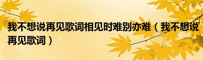 我不想說再見歌詞相見時難別亦難（我不想說再見歌詞）