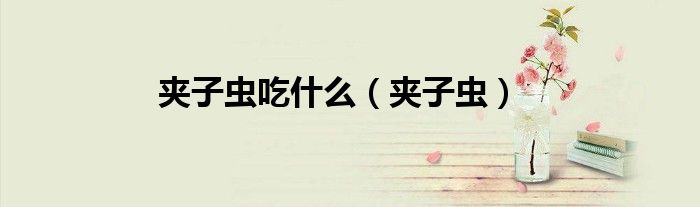 夾子蟲吃什么（夾子蟲）