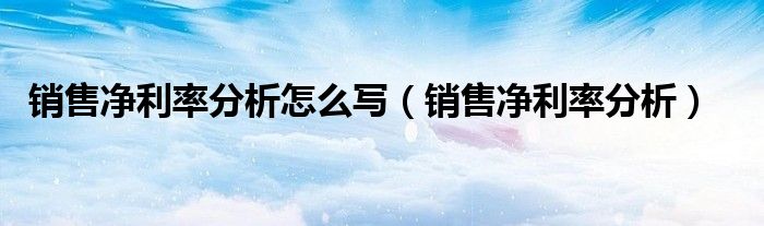 銷售凈利率分析怎么寫（銷售凈利率分析）