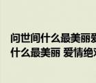 問世間什么最美麗愛情絕對是個奇跡下一句是什么（問世間什么最美麗 愛情絕對是個奇跡是哪首歌）
