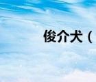 俊介犬（說(shuō)一說(shuō)俊介犬的簡(jiǎn)介）
