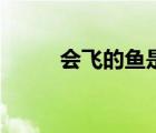 會飛的魚是什么意思（會飛的魚）