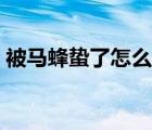 被馬蜂蟄了怎么辦消腫（被馬蜂蟄了怎么辦）