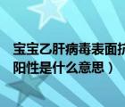 寶寶乙肝病毒表面抗體陽(yáng)性是什么意思（乙肝病毒表面抗體陽(yáng)性是什么意思）