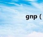 gnp（說一說gnp的簡介）