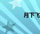 月下飛天鏡（月下飛天鏡）