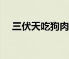 三伏天吃狗肉湯的好處（三伏天吃狗肉）