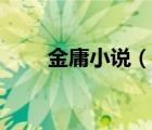 金庸小說(shuō)（說(shuō)一說(shuō)金庸小說(shuō)的簡(jiǎn)介）