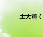 土大黃（說(shuō)一說(shuō)土大黃的簡(jiǎn)介）