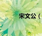 宋文公（說(shuō)一說(shuō)宋文公的簡(jiǎn)介）