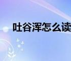 吐谷渾怎么讀音是什么（吐谷渾怎么讀）