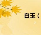 白玉（說一說白玉的簡介）