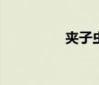 夾子蟲吃什么（夾子蟲）
