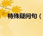 特殊疑問句（說一說特殊疑問句的簡介）