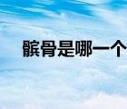 髕骨是哪一個位置（髕骨的位置是哪里）