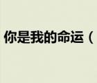 你是我的命運(yùn)（說(shuō)一說(shuō)你是我的命運(yùn)的簡(jiǎn)介）