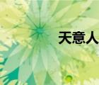 天意人心演唱（天意人心）