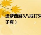 造夢西游3八戒打朱子真視頻（造夢西游3 用八戒怎么打朱子真）