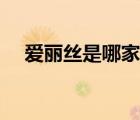 愛麗絲是哪家粉絲（愛麗是誰的粉絲名）
