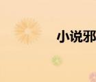 小說邪醫(yī)毒妃（邪帝毒妃）