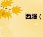 西服（說(shuō)一說(shuō)西服的簡(jiǎn)介）