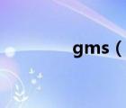 gms（說一說gms的簡介）