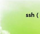 ssh（說一說ssh的簡介）