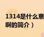 1314是什么意思?。ㄕf一說1314是什么意思啊的簡介）