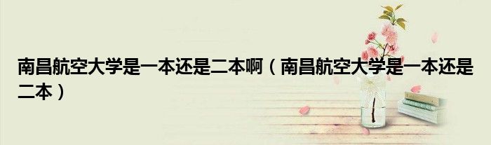 南昌航空大學(xué)是一本還是二本啊（南昌航空大學(xué)是一本還是二本）