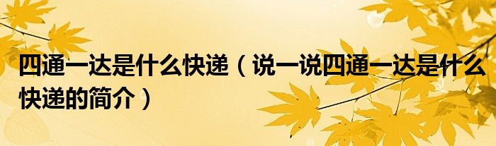 四通一達(dá)是什么快遞（說一說四通一達(dá)是什么快遞的簡介）