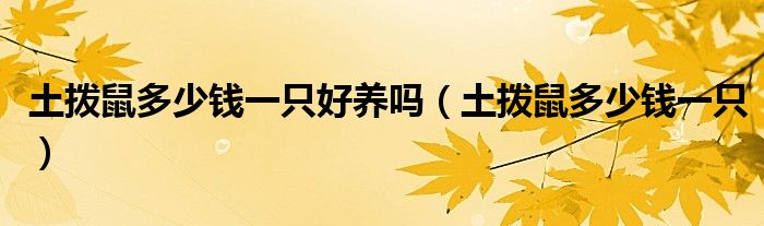 土撥鼠多少錢一只好養(yǎng)嗎（土撥鼠多少錢一只）