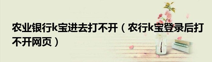 農業(yè)銀行k寶進去打不開（農行k寶登錄后打不開網頁）