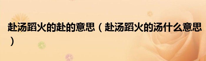 赴湯蹈火的赴的意思（赴湯蹈火的湯什么意思）