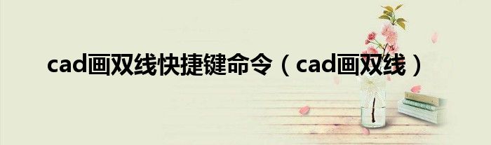 cad畫(huà)雙線(xiàn)快捷鍵命令（cad畫(huà)雙線(xiàn)）