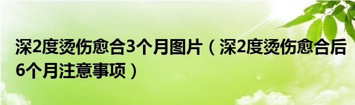 深2度燙傷愈合3個(gè)月圖片（深2度燙傷愈合后6個(gè)月注意事項(xiàng)）