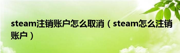 steam注銷賬戶怎么取消（steam怎么注銷賬戶）