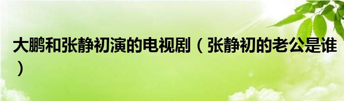 大鵬和張靜初演的電視?。◤堨o初的老公是誰）