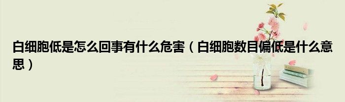 白細(xì)胞低是怎么回事有什么危害（白細(xì)胞數(shù)目偏低是什么意思）