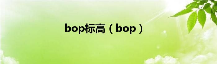 bop標(biāo)高（bop）
