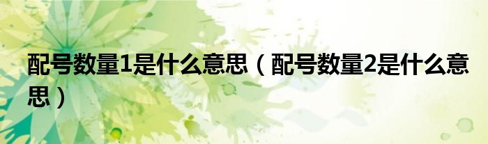 配號數(shù)量1是什么意思（配號數(shù)量2是什么意思）