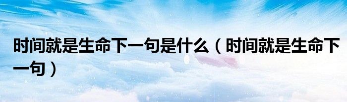 時間就是生命下一句是什么（時間就是生命下一句）