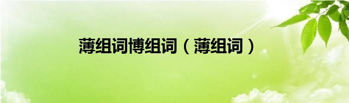 薄組詞博組詞（薄組詞）