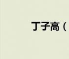 丁子高（說(shuō)一說(shuō)丁子高的簡(jiǎn)介）