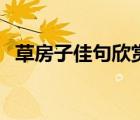 草房子佳句欣賞（草房子佳句摘抄加賞析）