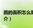 圓的面積怎么算（說一說圓的面積怎么算的簡介）