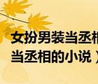 女扮男裝當(dāng)丞相或?qū)④姷墓叛孕≌f（女扮男裝當(dāng)丞相的小說）