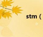 stm（說一說stm的簡介）
