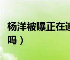 楊洋被曝正在追求鄭爽（楊洋的女朋友是鄭爽嗎）